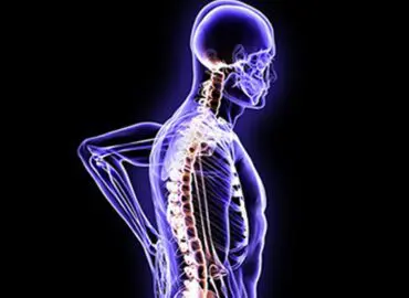 animated x-ray showcasing a brain and spinal cord injury