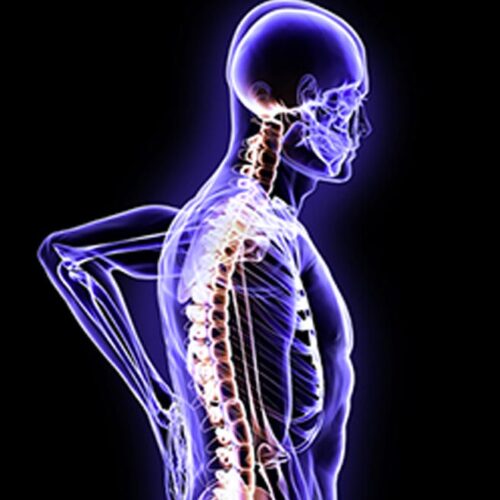 Spinal-Cord-Injury-asas
