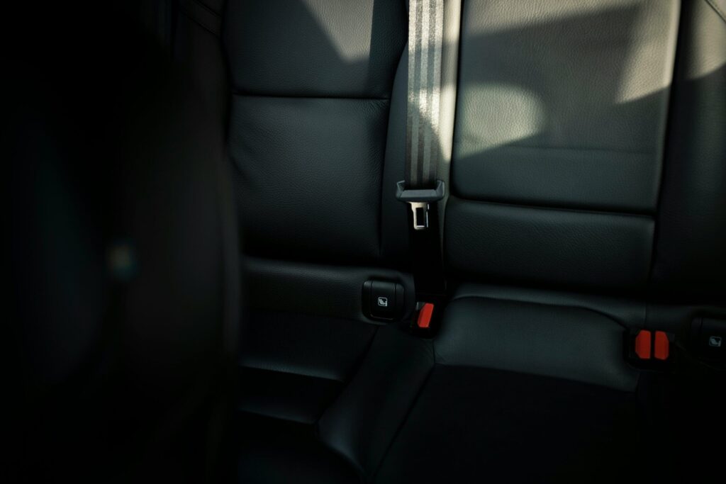 seatbelt in car